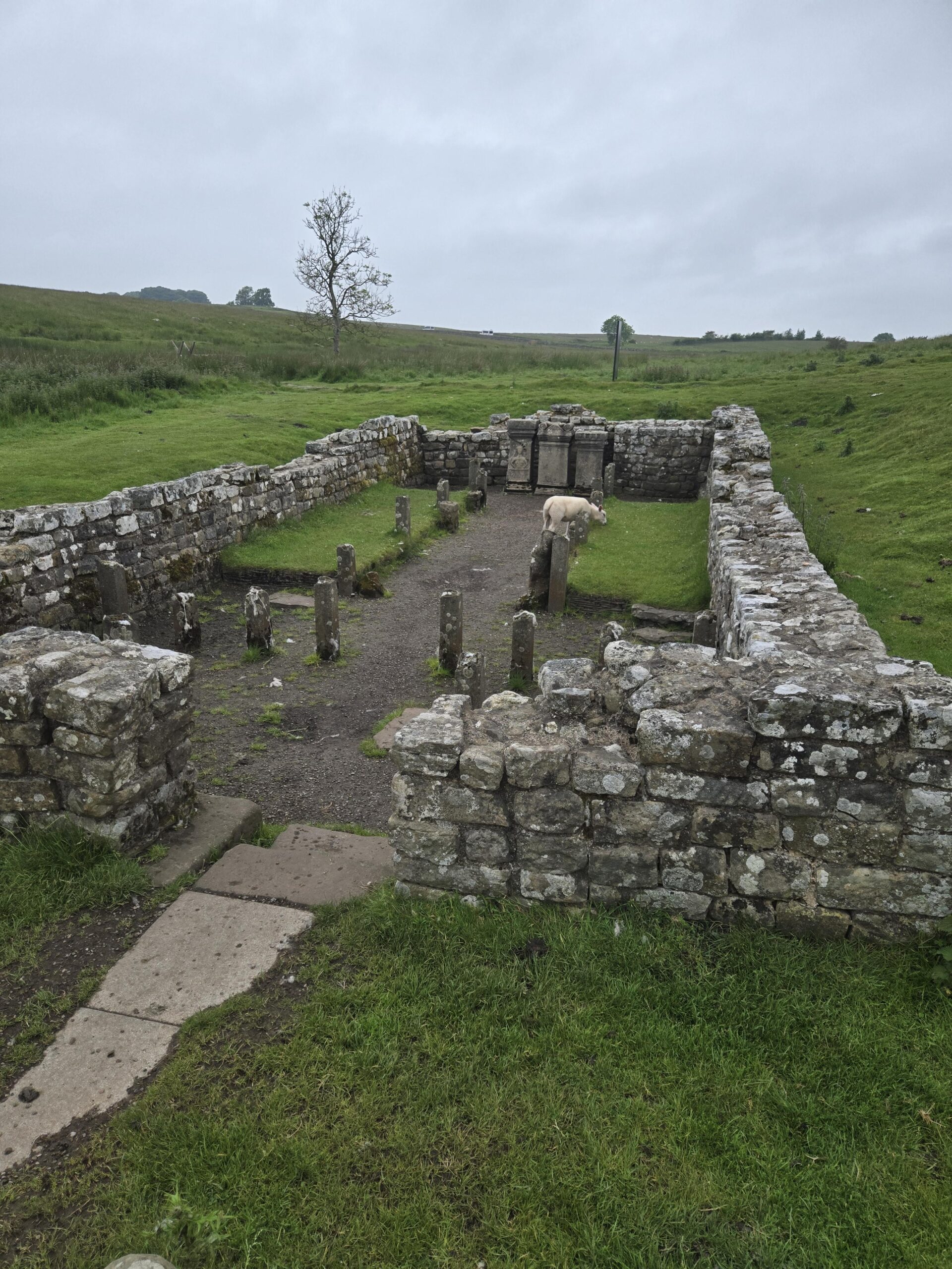 Temple of Mithros with a Cow